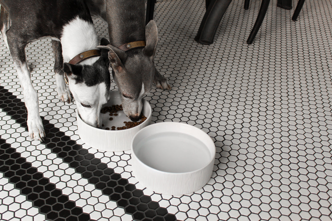Feeding Bowls That Fit Your Style