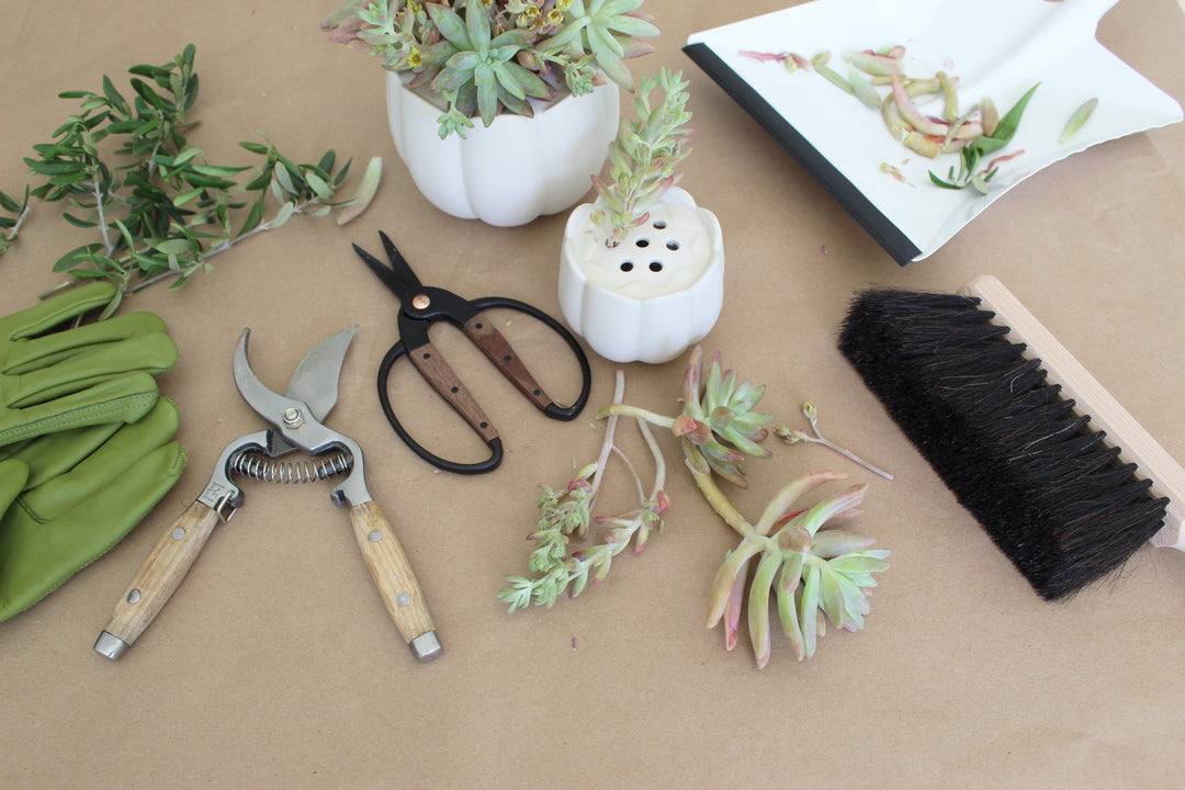 How to Make an (Almost) Free Centerpiece