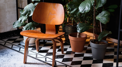 How to Care For Your Houseplants