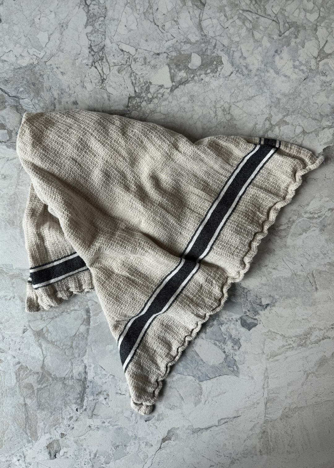Gastronome Kitchen Towels - Set of 2
