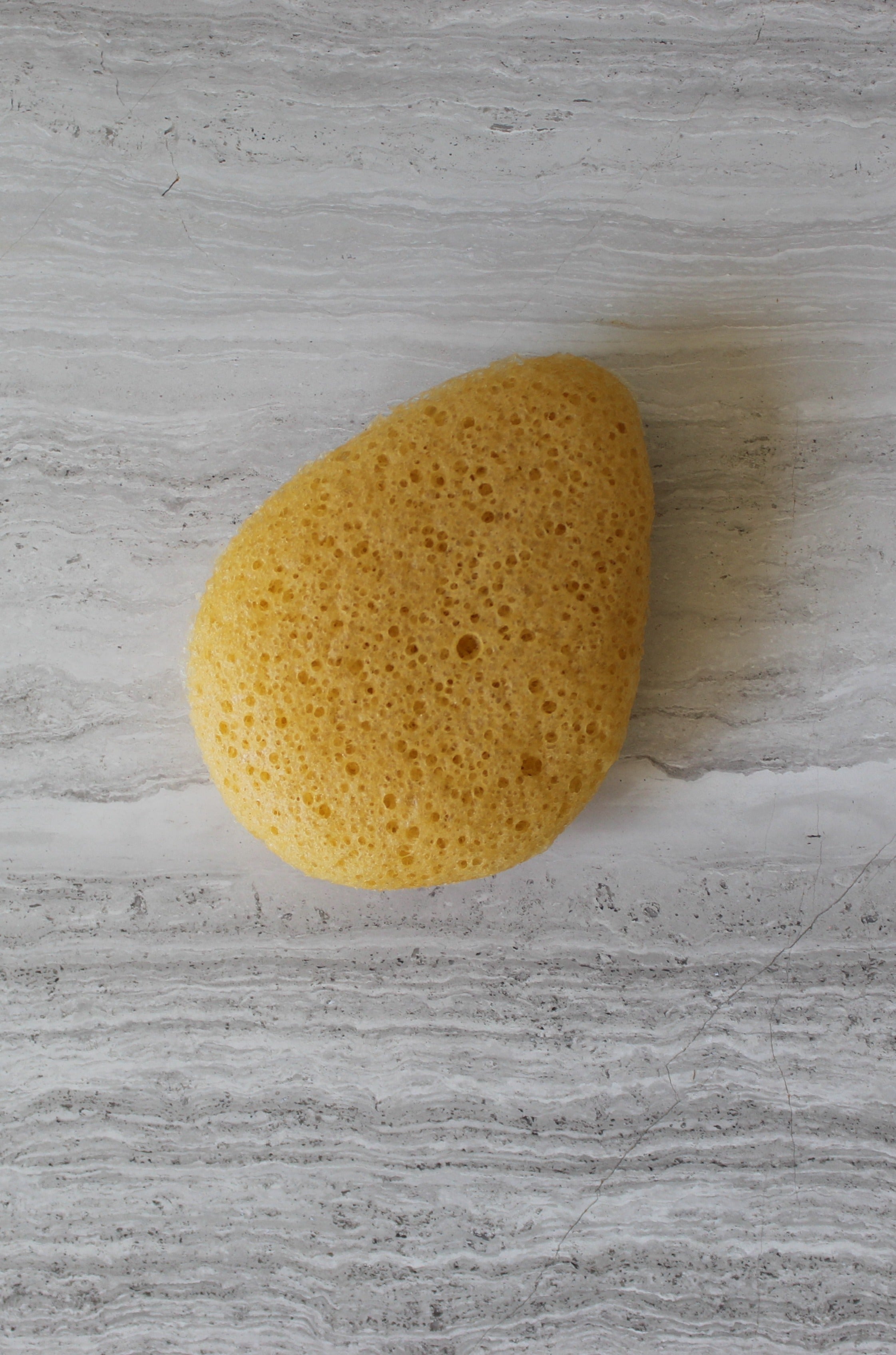 Konjac Sponge for Zero-Waste Cleansing | Face Sponge for Dry Skin